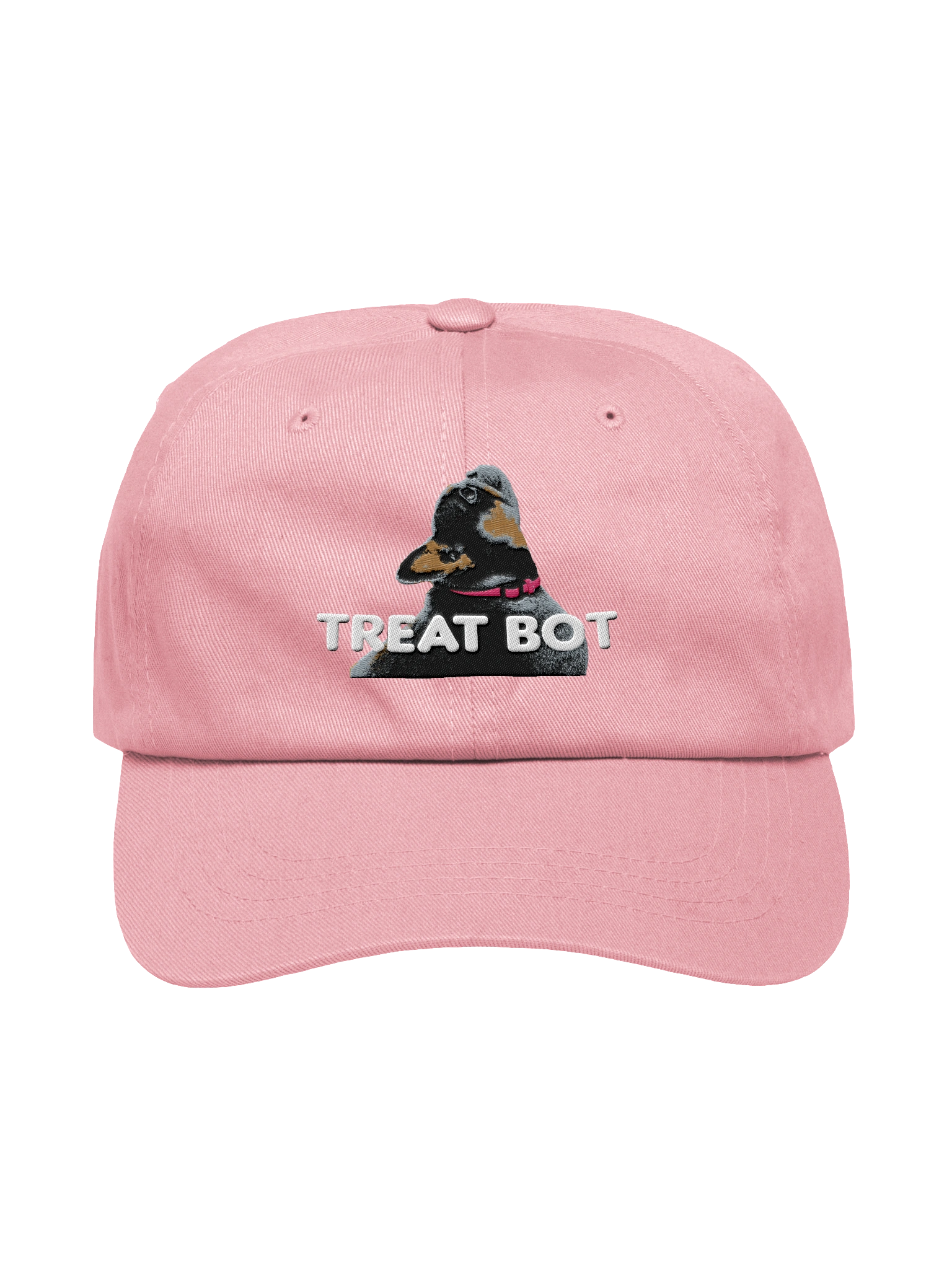 TreatBot Merch - Hat